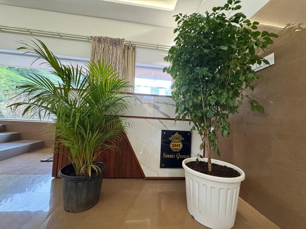 Reception desk with the Sinnis Group emblem, flanked by indoor plants